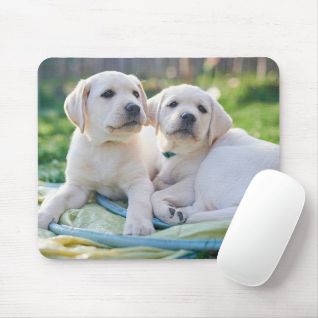 Tapis De Souris Cutest Baby Animals | Yellow Labrador Retrievers (Avec souris)
