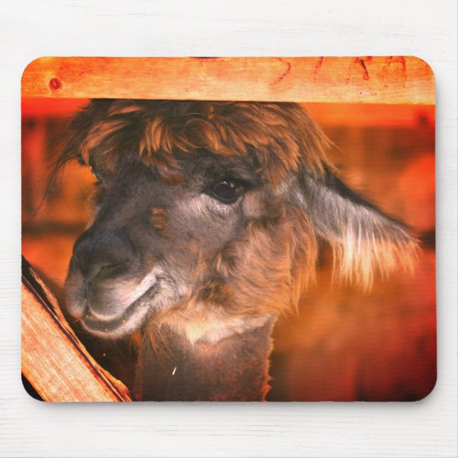 Tapis De Souris Cutey Llama Animal (Devant)