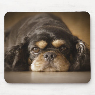 Tapis De Souris Cutie Cav !