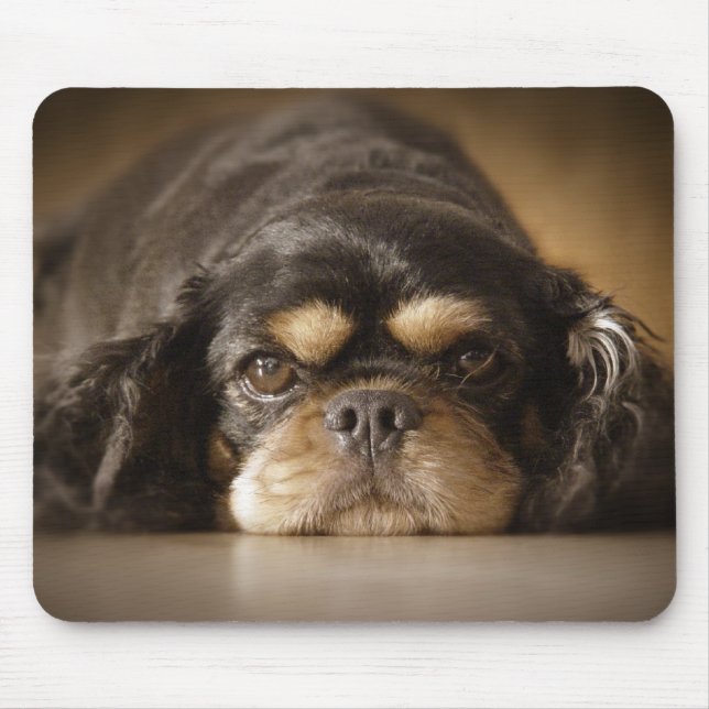 Tapis De Souris Cutie Cav ! (Devant)