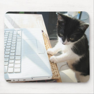 Tapis De Souris Cyberkitten