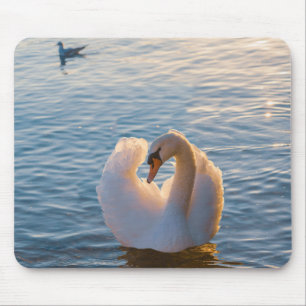 Tapis De Souris cygne, oiseau, animal