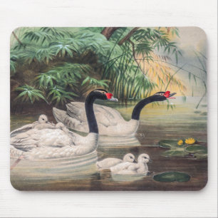 Tapis De Souris Cygne sauvage vintage à cou noir