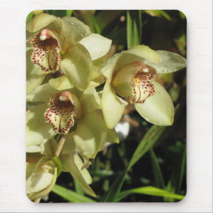 Tapis De Souris Cymbidium Orchidées mousepad