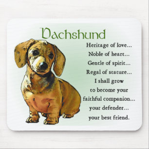 Tapis De Souris Dachshund Gifts