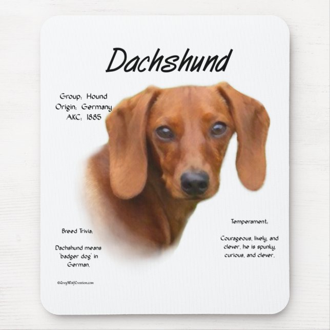 Tapis De Souris Dachshund Smooth Rencontrez la race (Devant)