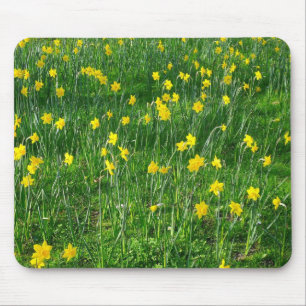 Tapis De Souris Daffodiles/Narcisse