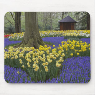 Tapis De Souris Daffodils, jacinthe de raisin et jardin de tulipes
