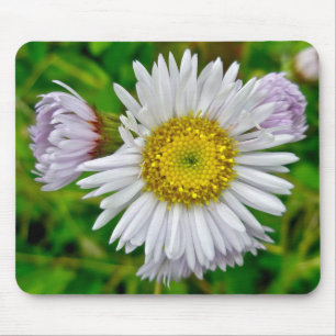 Tapis De Souris Daisy Fleabane Fleur sauvage Mousepad