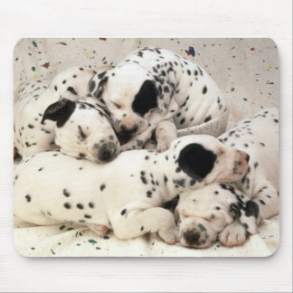 Tapis De Souris Dalmations