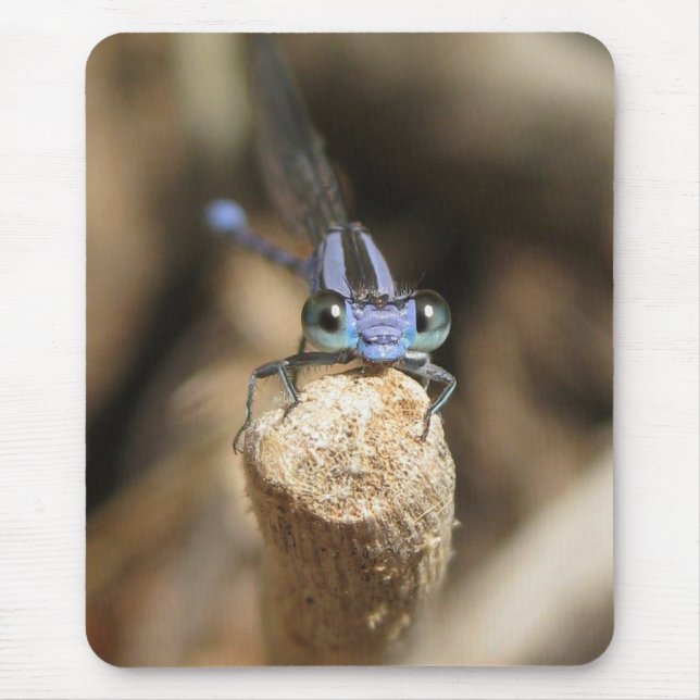 Tapis De Souris Damselfly chéri (1) Mousepad (Devant)