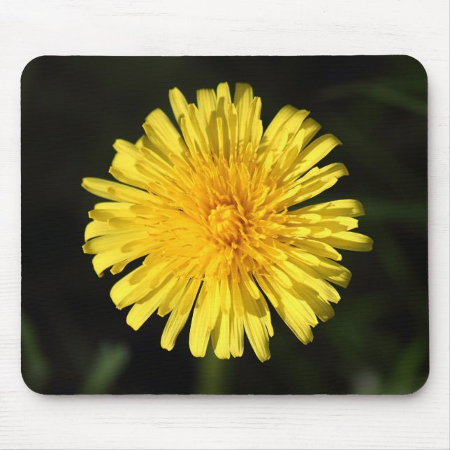 Tapis De Souris Dandelion (Devant)