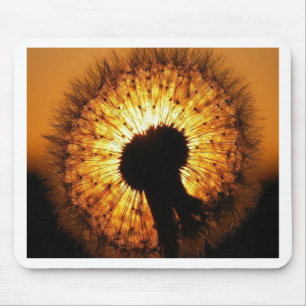 Tapis De Souris Dandelion au coucher du soleil