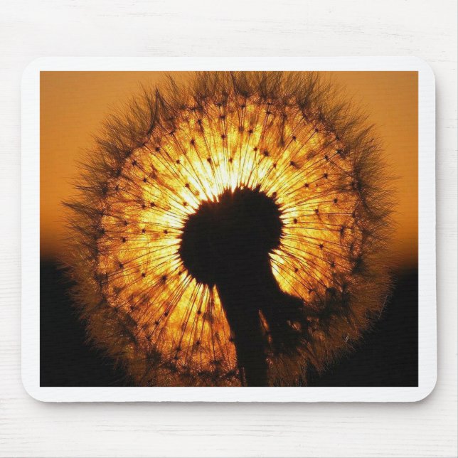 Tapis De Souris Dandelion au coucher du soleil (Devant)