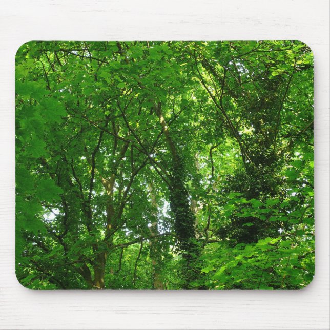 Tapis De Souris Dans les arbres (Devant)