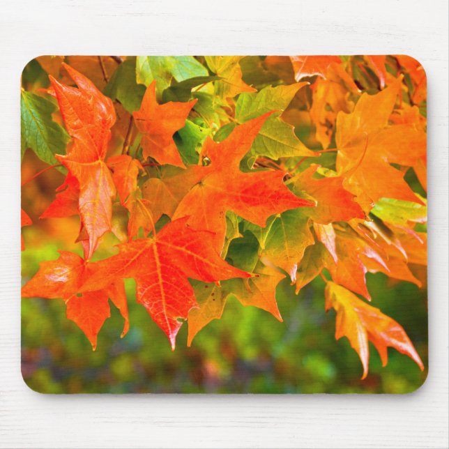 Tapis De Souris Danse Maple Leaf (Devant)