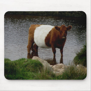 Tapis De Souris Dartmoor a ceinturé la vache à Galloway se tenant