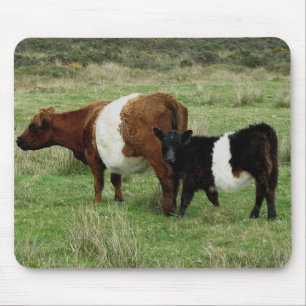 Tapis De Souris Dartmoor a ceinturé la vache et le veau à Gallow