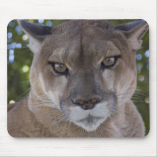 Tapis de souris d'attaque de puma