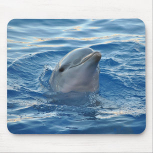 Tapis De Souris Dauphin