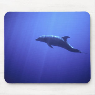 Tapis De Souris Dauphin