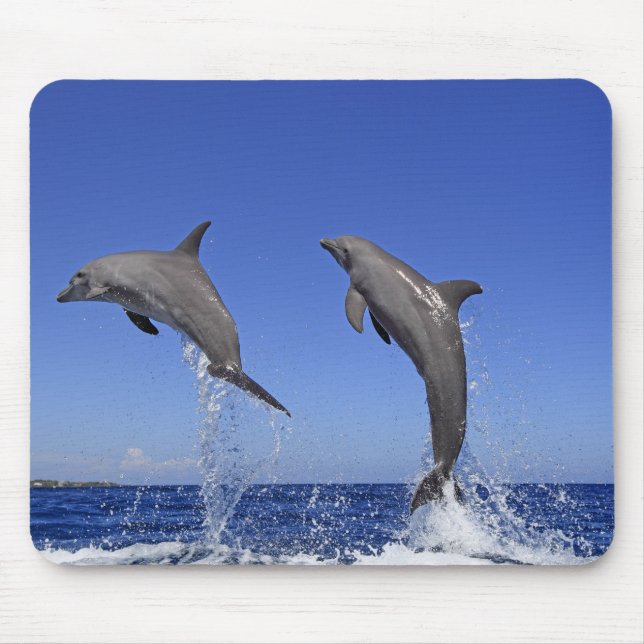Tapis De Souris dauphin 2 (Devant)