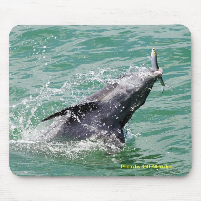Tapis De Souris Dauphin avec le déjeuner (Devant)