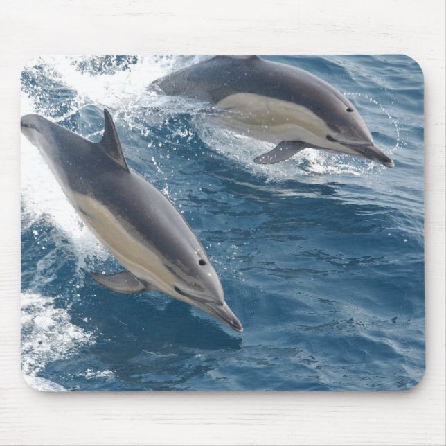 Tapis De Souris Dauphin commun (Devant)