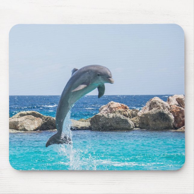 Tapis De Souris Dauphin de Bottlenose (Devant)