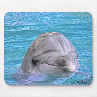 Tapis De Souris Dauphin de sourire