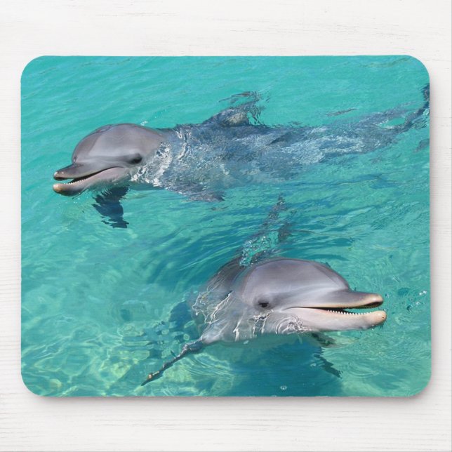 Tapis De Souris Dauphins (Devant)