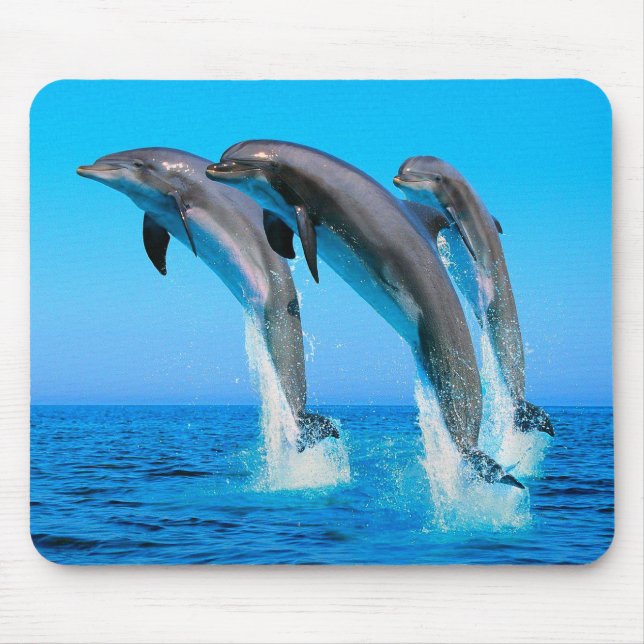 Tapis De Souris Dauphins (Devant)