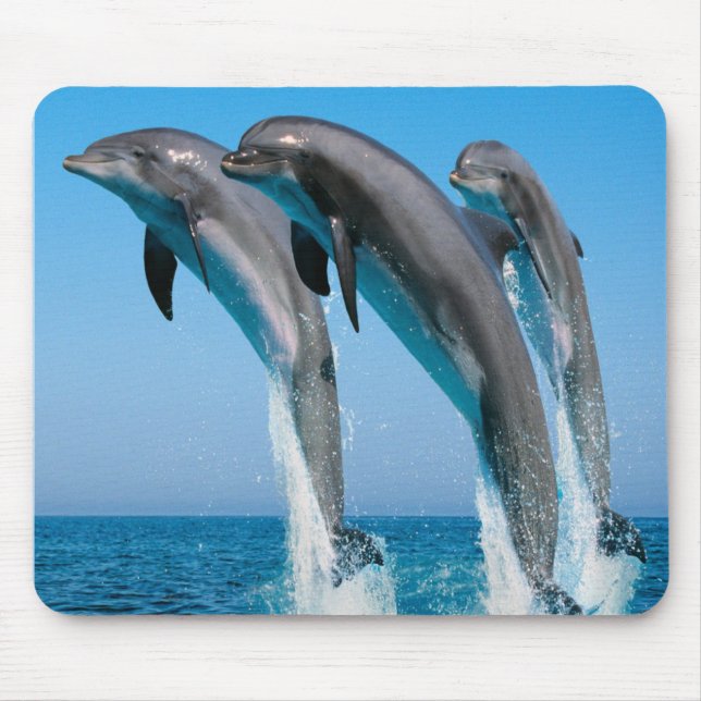 Tapis De Souris Dauphins de danse (Devant)