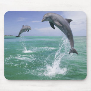 Tapis De Souris Dauphins de verdure Tursiops truncatus