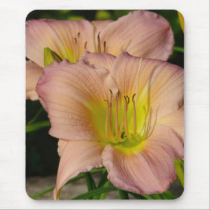 Tapis De Souris Daylilly