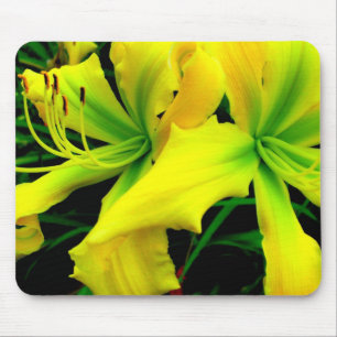 Tapis de souris : Daylily