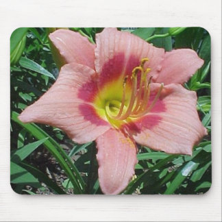 Tapis De Souris Daylily de fracas de cerise