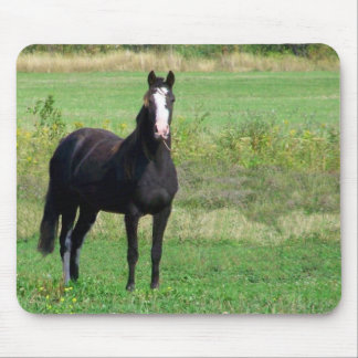 Tapis de souris de baisers