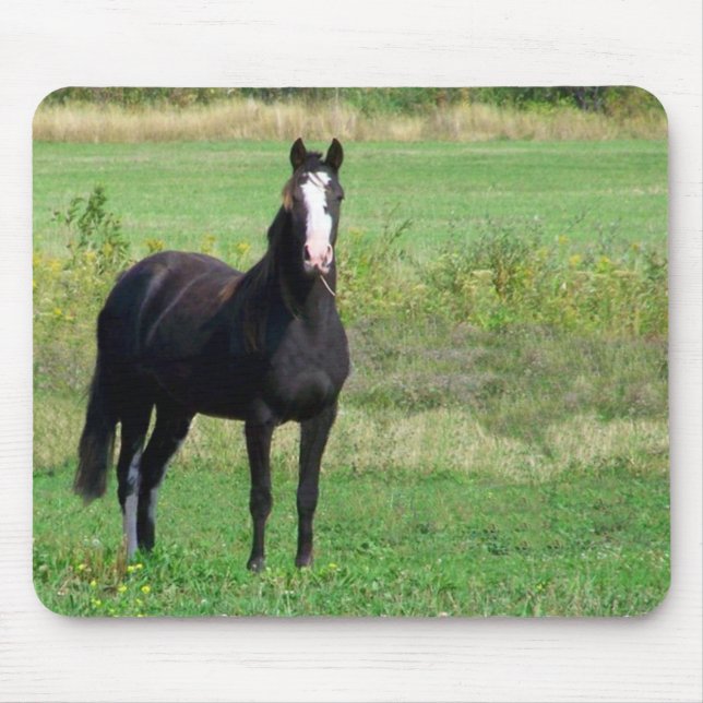 Tapis de souris de baisers (Devant)