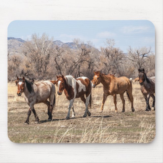 Tapis De Souris De beaux chevaux dans un pâturage (Devant)