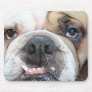 Tapis de souris de bouledogue