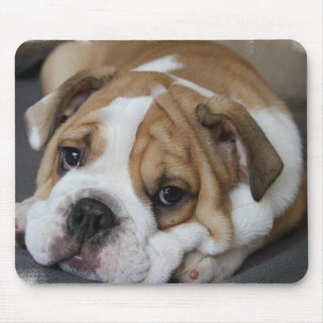 Tapis de souris de bouledogue de sommeil (Devant)
