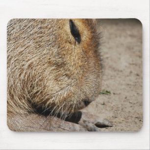 Tapis de souris de Capybara