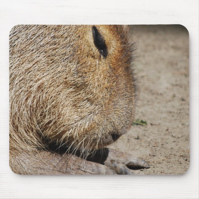 Tapis de souris de Capybara (Devant)