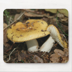 Tapis de souris de champignon