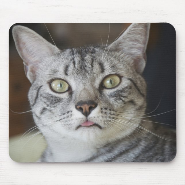 Tapis de souris de chat de Mau d'Egyptien (Devant)