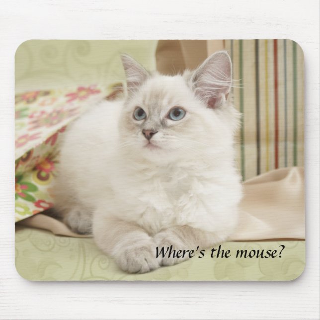 tapis de souris de chaton (Devant)