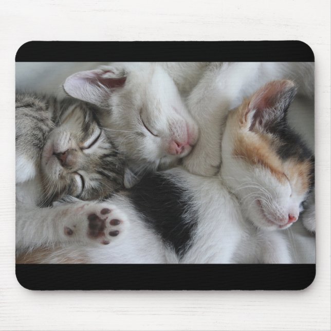 Tapis de souris de chatons de sommeil (Devant)