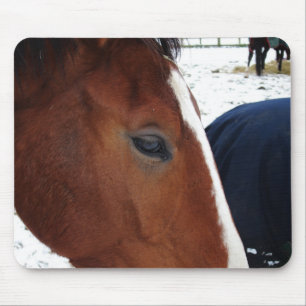 Tapis de souris de cheval