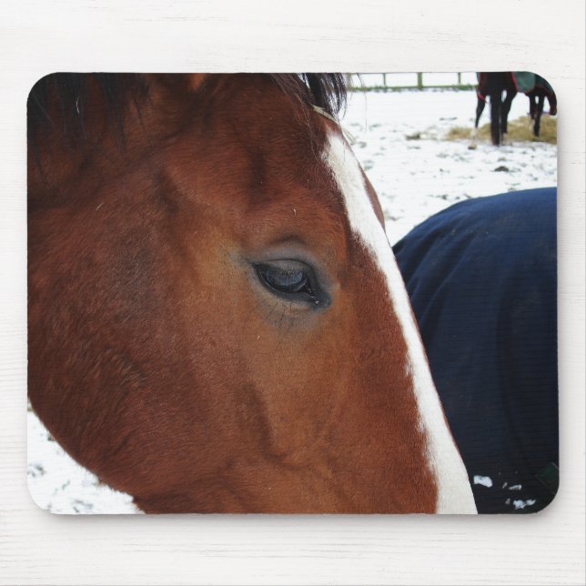 Tapis de souris de cheval (Devant)
